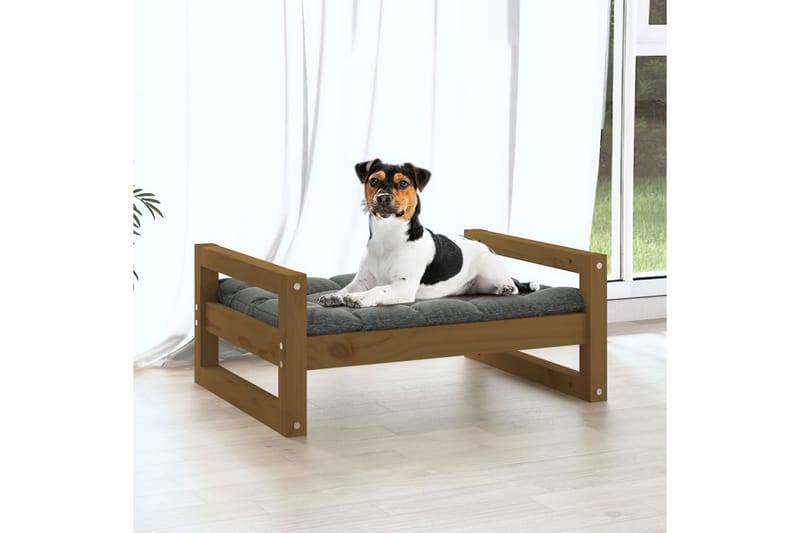 beBasic Hundeseng honningbrun 55,5x45,5x28 cm heltre furu - Brun - Sport & fritid - Til dyrene - For hund - Hundemøbler - Hundekurv & hundeseng