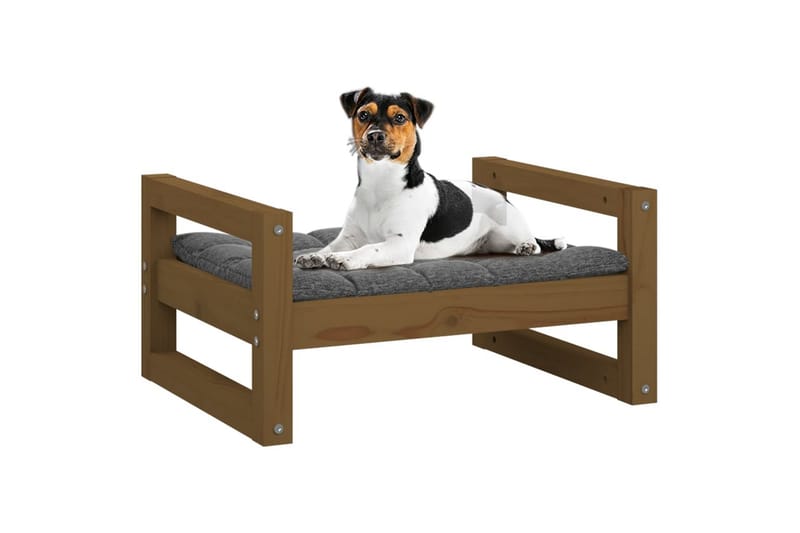 beBasic Hundeseng honningbrun 55,5x45,5x28 cm heltre furu - Brun - Sport & fritid - Til dyrene - For hund - Hundemøbler - Hundekurv & hundeseng