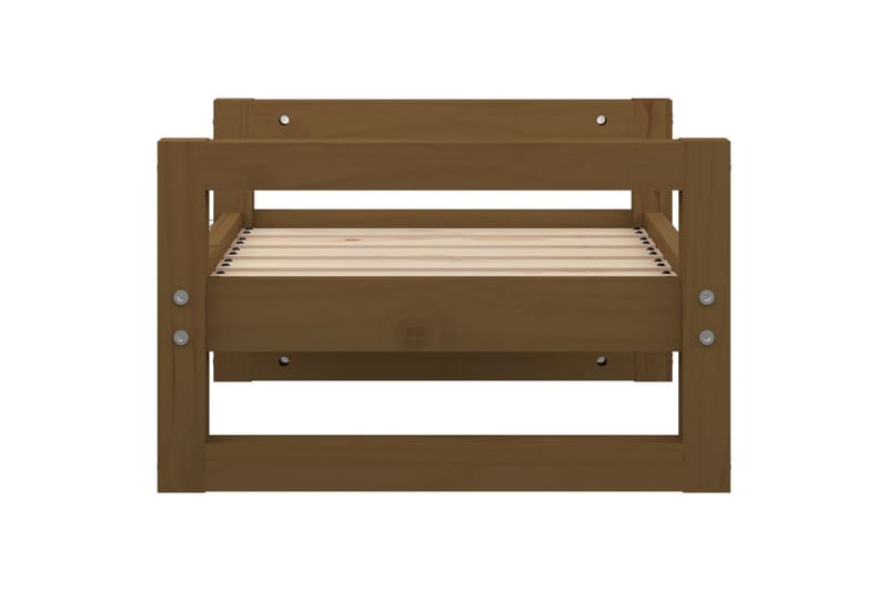beBasic Hundeseng honningbrun 55,5x45,5x28 cm heltre furu - Brun - Sport & fritid - Til dyrene - For hund - Hundemøbler - Hundekurv & hundeseng