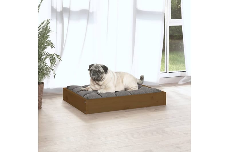 beBasic Hundeseng honningbrun 61,5x49x9 cm heltre furu - Brun - Sport & fritid - Til dyrene - For hund - Hundemøbler - Hundekurv & hundeseng
