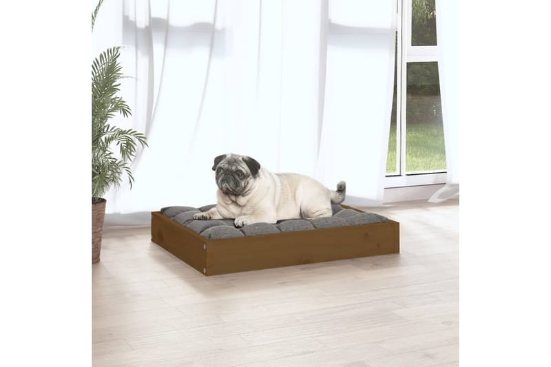beBasic Hundeseng honningbrun 61,5x49x9 cm heltre furu - Brun - Hundekurv & hundeseng - Hundemøbler