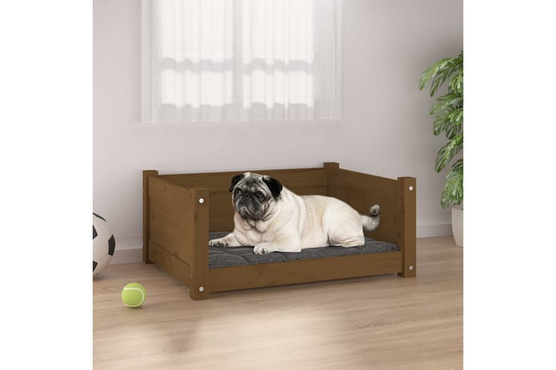 beBasic Hundeseng honningbrun 65,5x50,5x28 cm heltre furu - Brun - Sport & fritid - Til dyrene - For hund - Hundemøbler - Hundekurv & hundeseng
