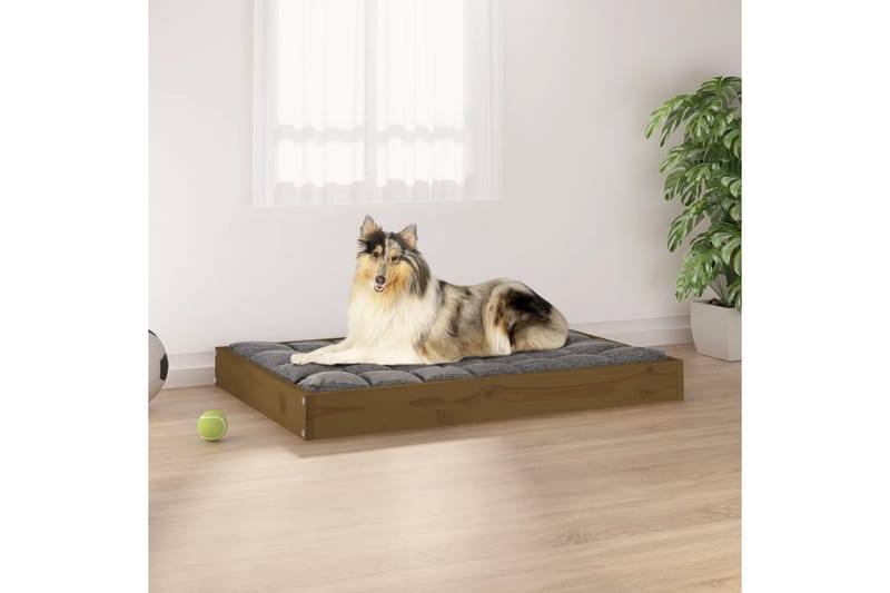 beBasic Hundeseng honningbrun 91,5x64x9 cm heltre furu - Brun - Hundekurv & hundeseng - Hundemøbler