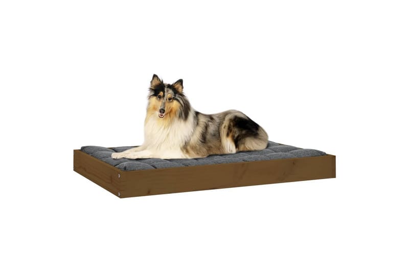 beBasic Hundeseng honningbrun 91,5x64x9 cm heltre furu - Brun - Hundekurv & hundeseng - Hundemøbler