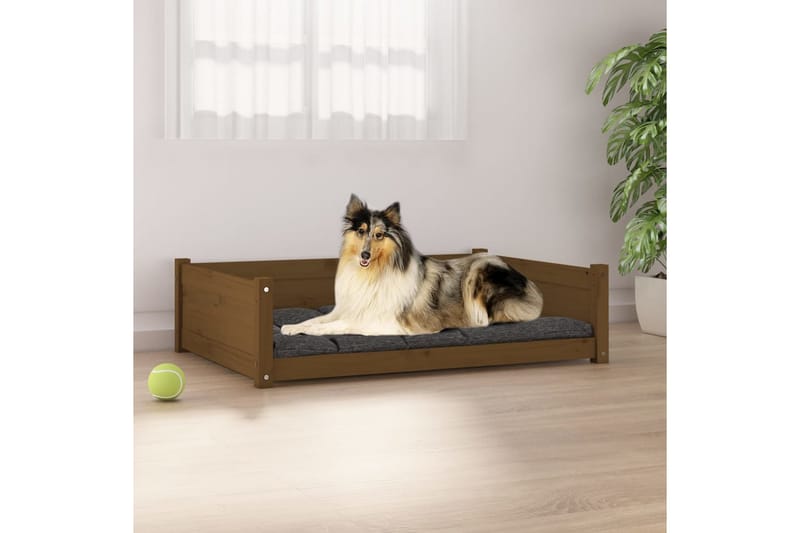 beBasic Hundeseng honningbrun 95,5x65,5x28 cm heltre furu - Brun - Hundekurv & hundeseng - Hundemøbler