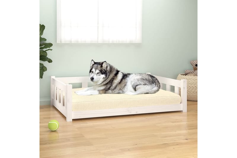 beBasic Hundeseng hvit 105,5x75,5x28 cm heltre furu - Hvit - Sport & fritid - Til dyrene - For hund - Hundemøbler - Hundekurv & hundeseng
