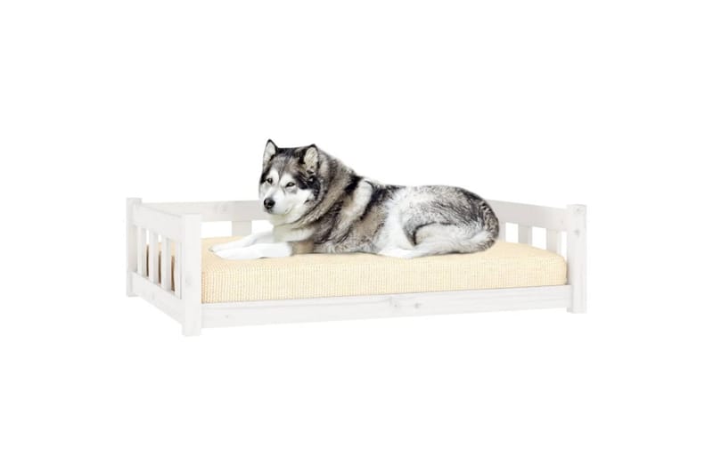 beBasic Hundeseng hvit 105,5x75,5x28 cm heltre furu - Hvit - Sport & fritid - Til dyrene - For hund - Hundemøbler - Hundekurv & hundeseng