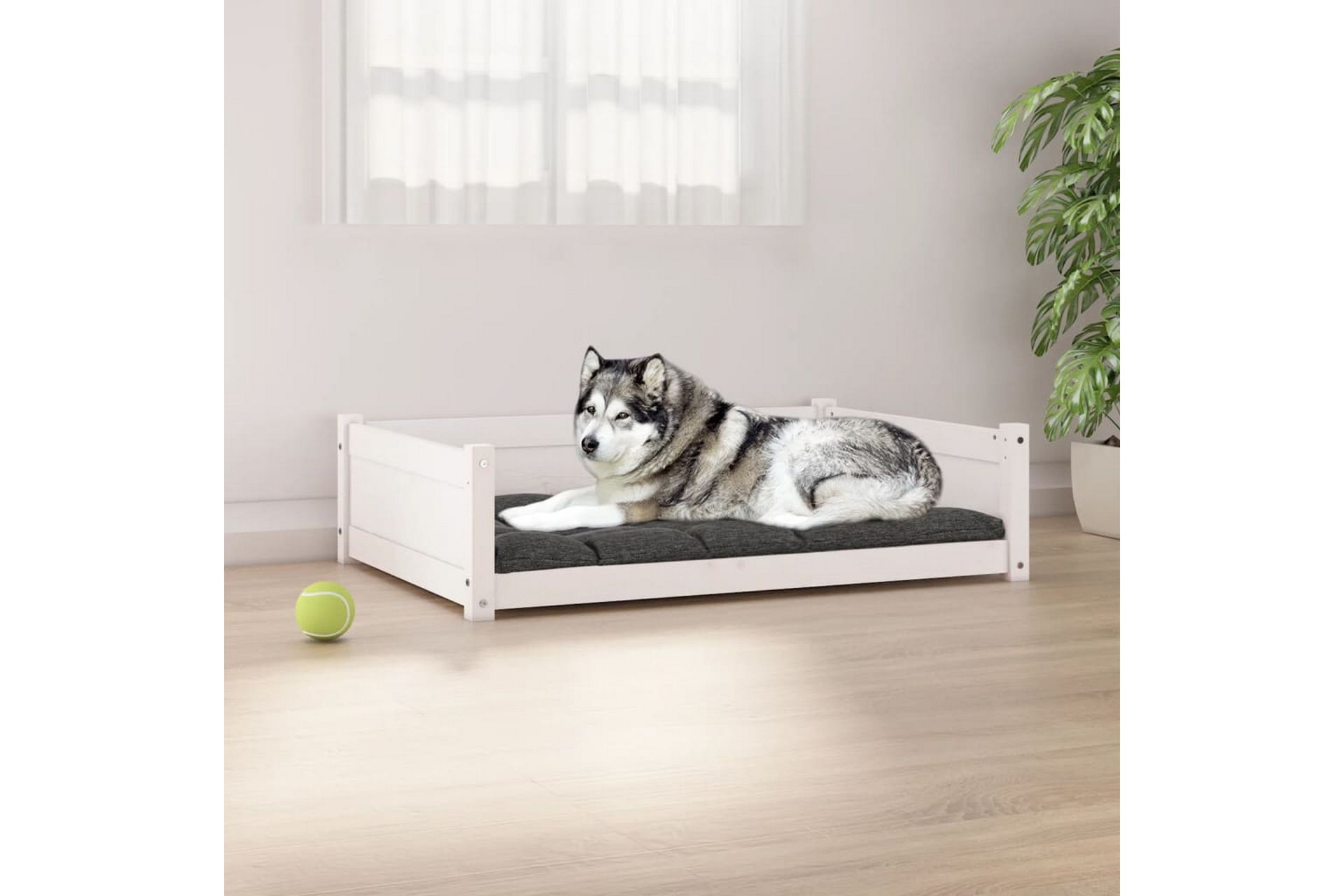 beBasic Hundeseng hvit 105,5x75,5x28 cm heltre furu - Hvit - Sport & fritid - Til dyrene - For hund - Hundemøbler - Hundekurv & hundeseng