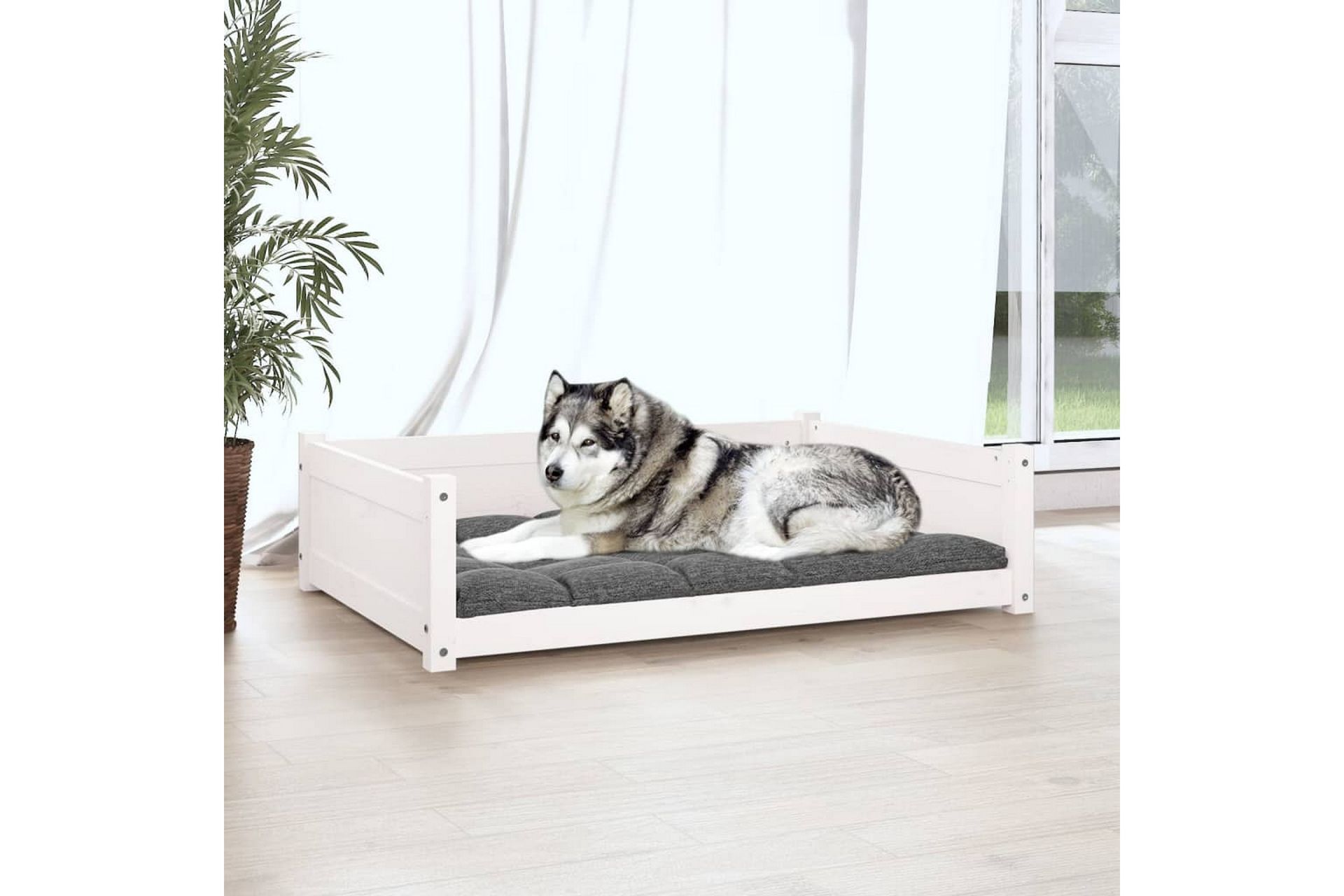 beBasic Hundeseng hvit 105,5x75,5x28 cm heltre furu - Hvit - Sport & fritid - Til dyrene - For hund - Hundemøbler - Hundekurv & hundeseng
