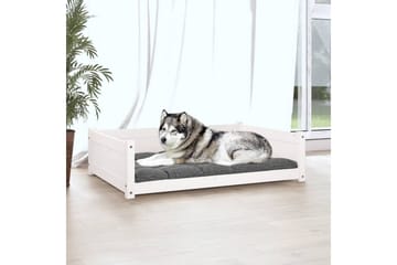 beBasic Hundeseng hvit 105,5x75,5x28 cm heltre furu - Hvit - Sport & fritid - Til dyrene - For hund - Hundemøbler - Hundekurv & hundeseng