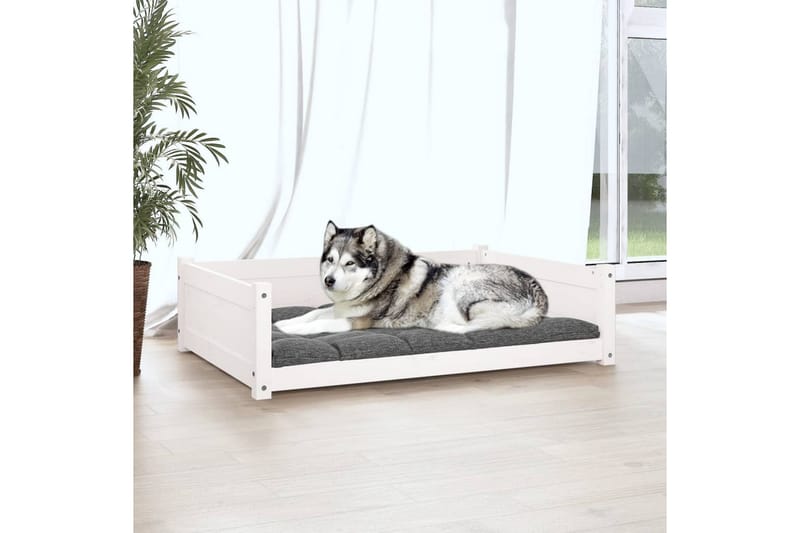 beBasic Hundeseng hvit 105,5x75,5x28 cm heltre furu - Hvit - Hundekurv & hundeseng - Hundemøbler