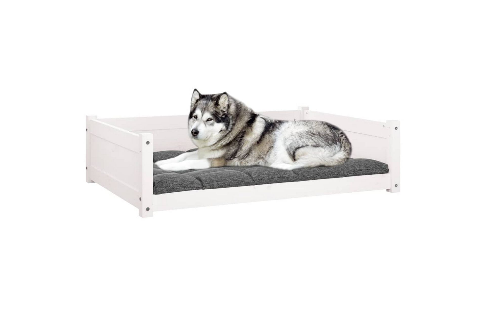 beBasic Hundeseng hvit 105,5x75,5x28 cm heltre furu - Hvit - Sport & fritid - Til dyrene - For hund - Hundemøbler - Hundekurv & hundeseng