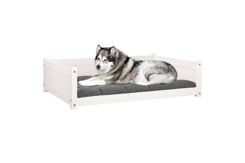 beBasic Hundeseng hvit 105,5x75,5x28 cm heltre furu - Hvit - Sport & fritid - Til dyrene - For hund - Hundemøbler - Hundekurv & hundeseng