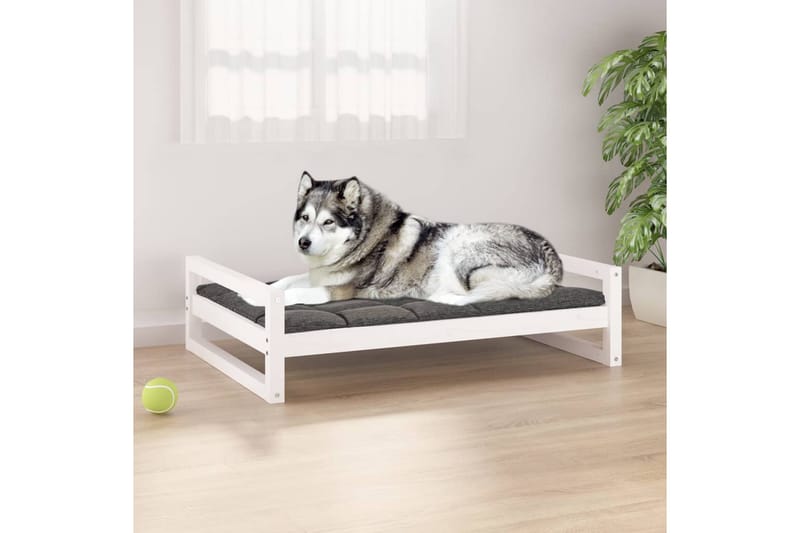 beBasic Hundeseng hvit 105,5x75,5x28 cm heltre furu - Hvit - Hundemøbler - Hundekurv & hundeseng