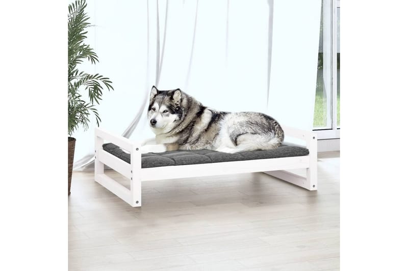 beBasic Hundeseng hvit 105,5x75,5x28 cm heltre furu - Hvit - Hundekurv & hundeseng - Hundemøbler