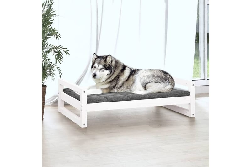 beBasic Hundeseng hvit 105,5x75,5x28 cm heltre furu - Hvit - Hundemøbler - Hundekurv & hundeseng