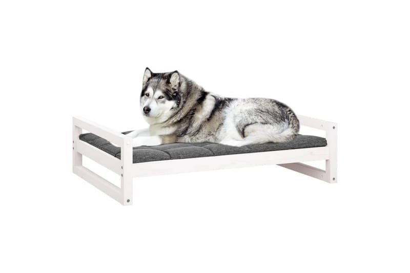 beBasic Hundeseng hvit 105,5x75,5x28 cm heltre furu - Hvit - Sport & fritid - Til dyrene - For hund - Hundemøbler - Hundekurv & hundeseng