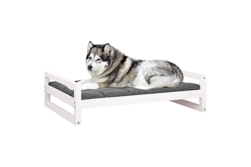 beBasic Hundeseng hvit 105,5x75,5x28 cm heltre furu - Hvit - Hundekurv & hundeseng - Hundemøbler