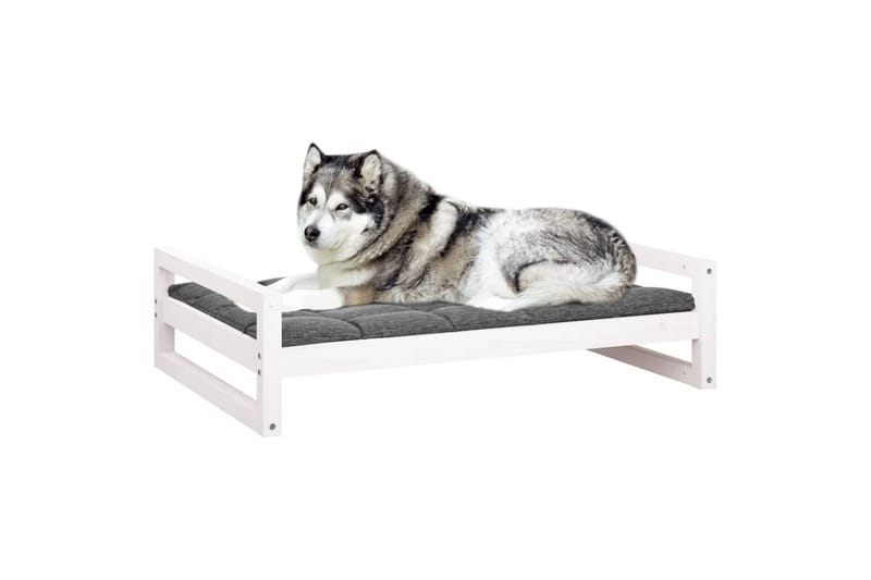 beBasic Hundeseng hvit 105,5x75,5x28 cm heltre furu - Hvit - Hundemøbler - Hundekurv & hundeseng