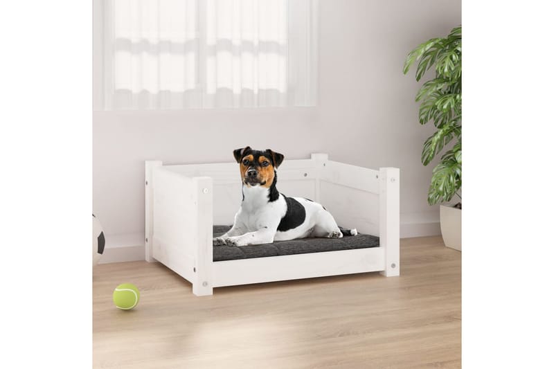 beBasic Hundeseng hvit 55,5x45,5x28 cm heltre furu - Hvit - Sport & fritid - Til dyrene - For hund - Hundemøbler - Hundekurv & hundeseng
