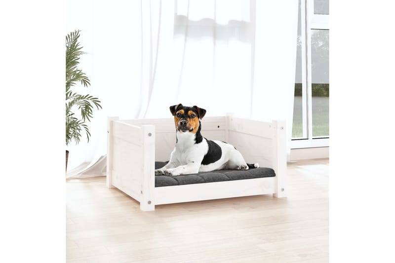 beBasic Hundeseng hvit 55,5x45,5x28 cm heltre furu - Hvit - Sport & fritid - Til dyrene - For hund - Hundemøbler - Hundekurv & hundeseng