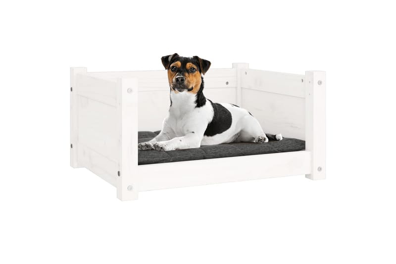 beBasic Hundeseng hvit 55,5x45,5x28 cm heltre furu - Hvit - Hundemøbler - Hundekurv & hundeseng