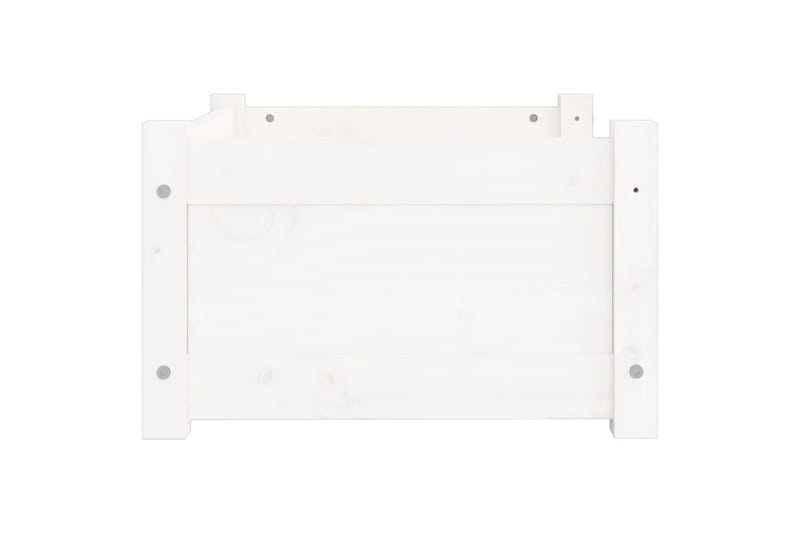beBasic Hundeseng hvit 55,5x45,5x28 cm heltre furu - Hvit - Sport & fritid - Til dyrene - For hund - Hundemøbler - Hundekurv & hundeseng