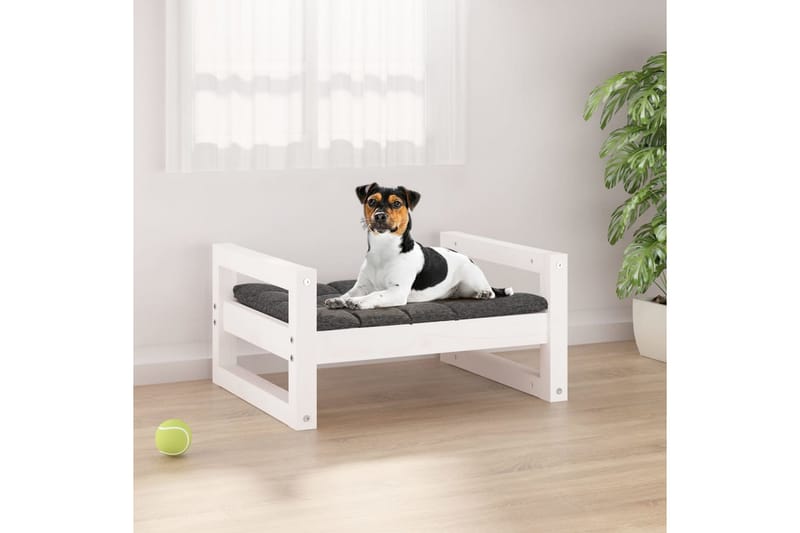 beBasic Hundeseng hvit 55,5x45,5x28 cm heltre furu - Hvit - Hundekurv & hundeseng - Hundemøbler