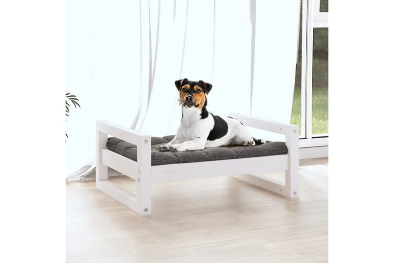 beBasic Hundeseng hvit 55,5x45,5x28 cm heltre furu - Hvit - Sport & fritid - Til dyrene - For hund - Hundemøbler - Hundekurv & hundeseng