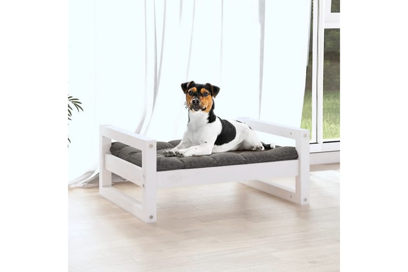 beBasic Hundeseng hvit 55,5x45,5x28 cm heltre furu - Hvit - Hundekurv & hundeseng - Hundemøbler