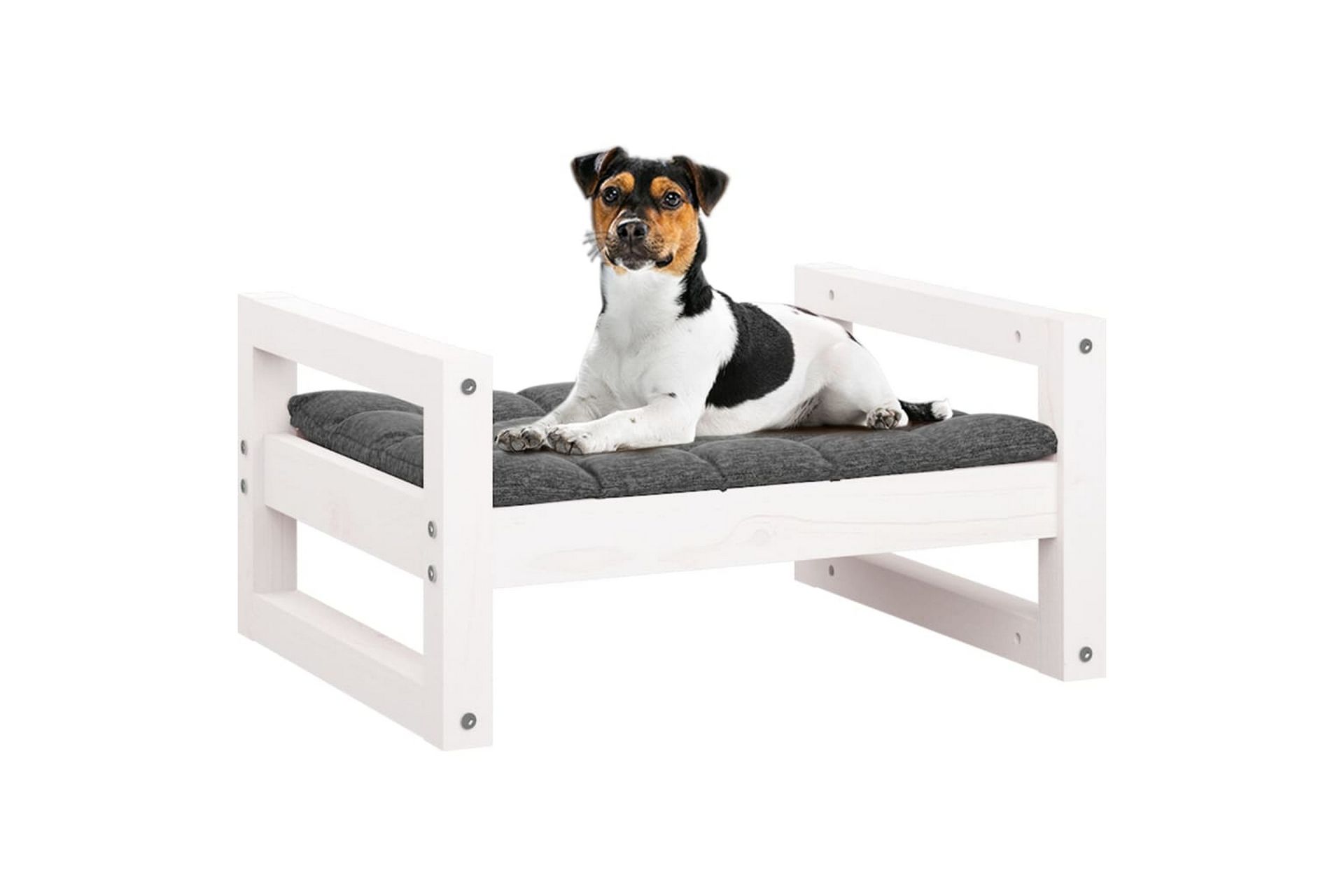 beBasic Hundeseng hvit 55,5x45,5x28 cm heltre furu - Hvit - Sport & fritid - Til dyrene - For hund - Hundemøbler - Hundekurv & hundeseng