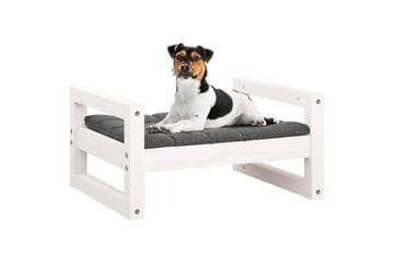 beBasic Hundeseng hvit 55,5x45,5x28 cm heltre furu - Hvit - Sport & fritid - Til dyrene - For hund - Hundemøbler - Hundekurv & hundeseng