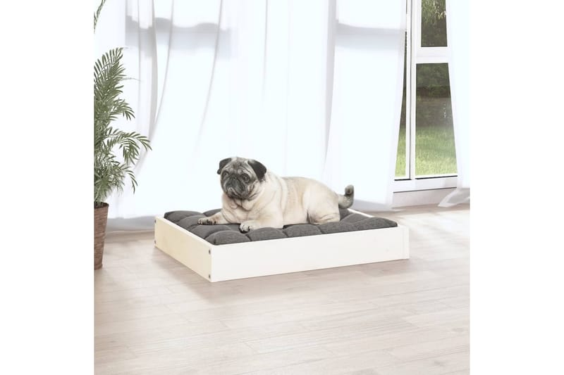 beBasic Hundeseng hvit 61,5x49x9 cm heltre furu - Hvit - Hundekurv & hundeseng - Hundemøbler