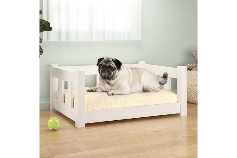 beBasic Hundeseng hvit 65,5x50,5x28 cm heltre furu - Hvit - Sport & fritid - Til dyrene - For hund - Hundemøbler - Hundekurv & hundeseng