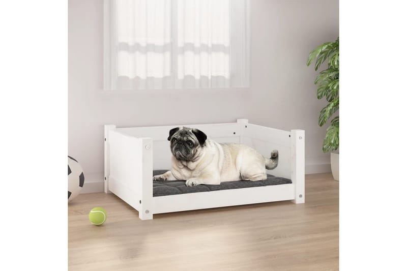 beBasic Hundeseng hvit 65,5x50,5x28 cm heltre furu - Hvit - Hundekurv & hundeseng - Hundemøbler