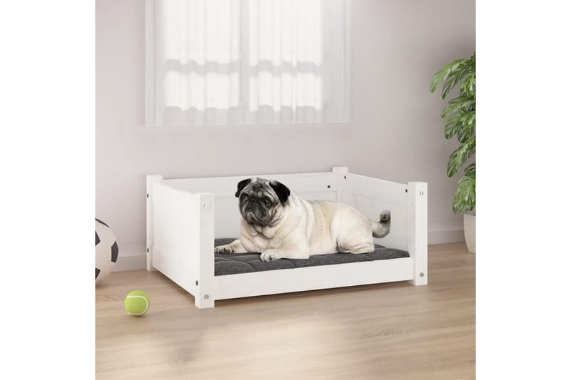 beBasic Hundeseng hvit 65,5x50,5x28 cm heltre furu - Hvit - Sport & fritid - Til dyrene - For hund - Hundemøbler - Hundekurv & hundeseng
