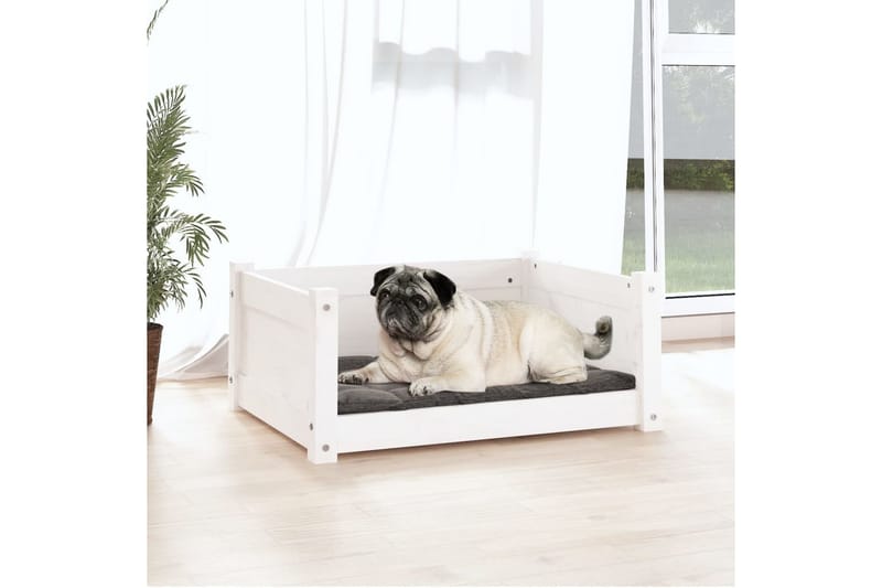 beBasic Hundeseng hvit 65,5x50,5x28 cm heltre furu - Hvit - Sport & fritid - Til dyrene - For hund - Hundemøbler - Hundekurv & hundeseng