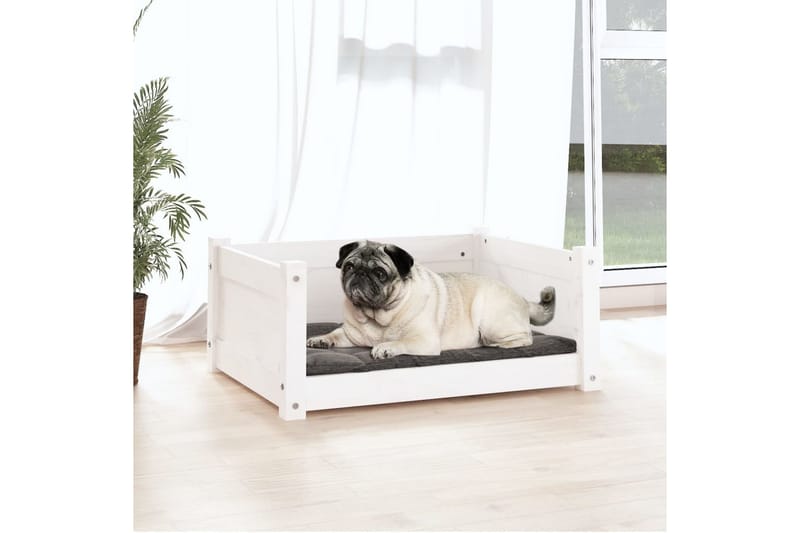 beBasic Hundeseng hvit 65,5x50,5x28 cm heltre furu - Hvit - Hundemøbler - Hundekurv & hundeseng