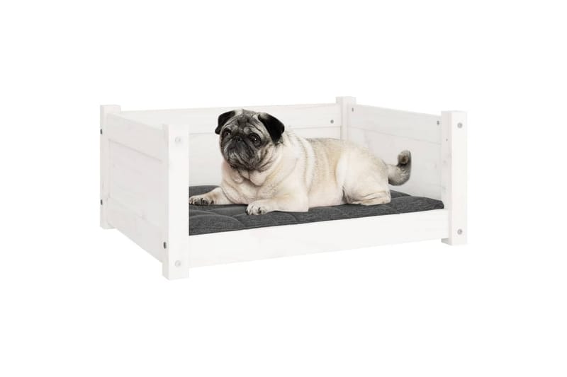 beBasic Hundeseng hvit 65,5x50,5x28 cm heltre furu - Hvit - Hundem�øbler - Hundekurv & hundeseng