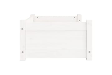 beBasic Hundeseng hvit 65,5x50,5x28 cm heltre furu - Hvit - Sport & fritid - Til dyrene - For hund - Hundemøbler - Hundekurv & hundeseng