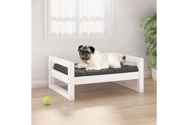 beBasic Hundeseng hvit 65,5x50,5x28 cm heltre furu - Hvit - Hundemøbler - Hundekurv & hundeseng
