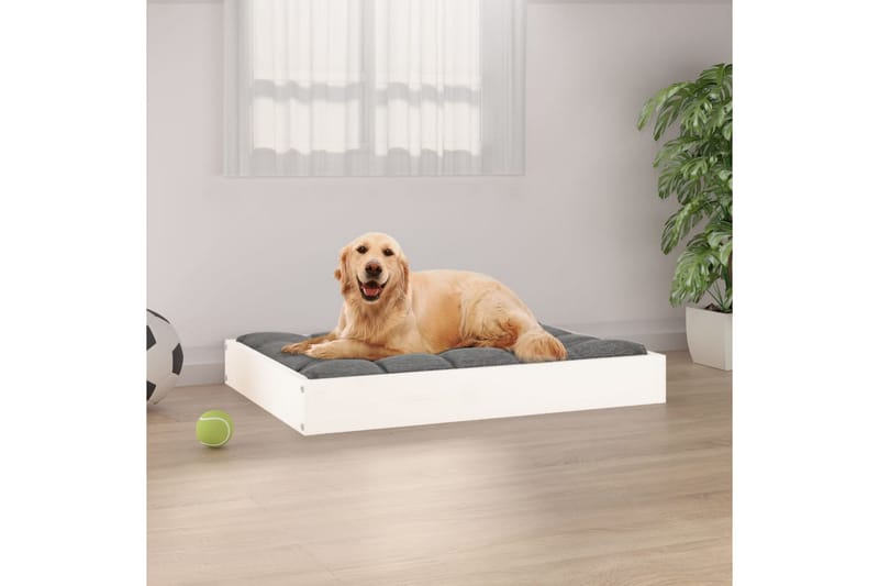 beBasic Hundeseng hvit 71,5x54x9 cm heltre furu - Hvit - Hundemøbler - Hundekurv & hundeseng