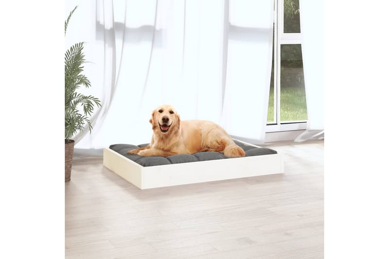 beBasic Hundeseng hvit 71,5x54x9 cm heltre furu - Hvit - Hundekurv & hundeseng - Hundemøbler