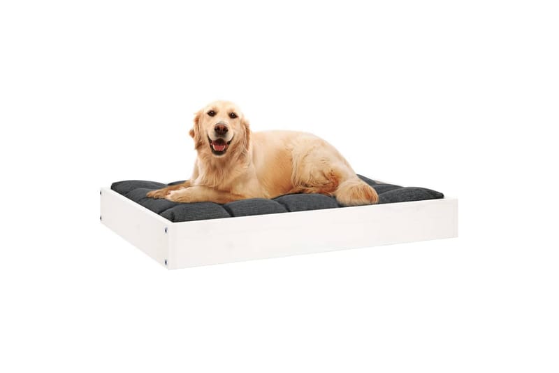 beBasic Hundeseng hvit 71,5x54x9 cm heltre furu - Hvit - Hundekurv & hundeseng - Hundemøbler