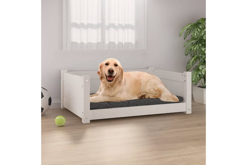 beBasic Hundeseng hvit 75,5x55,5x28 cm heltre furu - Hvit - Sport & fritid - Til dyrene - For hund - Hundemøbler - Hundekurv & hundeseng