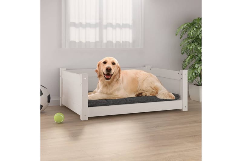 beBasic Hundeseng hvit 75,5x55,5x28 cm heltre furu - Hvit - Hundemøbler - Hundekurv & hundeseng