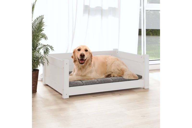 beBasic Hundeseng hvit 75,5x55,5x28 cm heltre furu - Hvit - Hundekurv & hundeseng - Hundemøbler