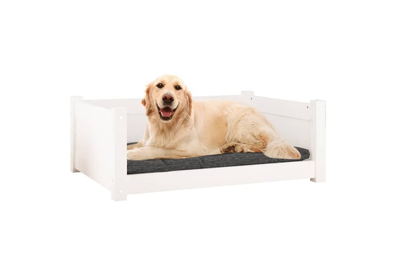 beBasic Hundeseng hvit 75,5x55,5x28 cm heltre furu - Hvit - Hundekurv & hundeseng - Hundemøbler