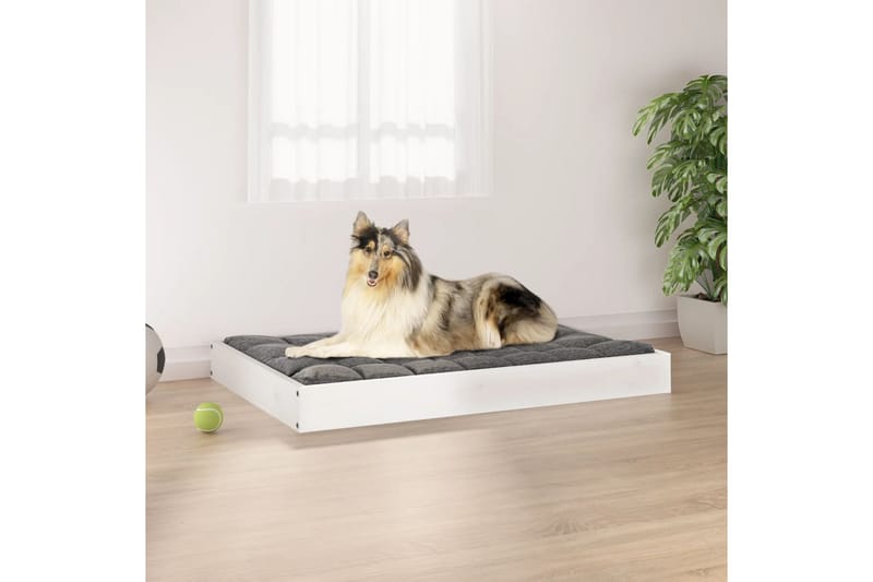 beBasic Hundeseng hvit 91,5x64x9 cm heltre furu - Hvit - Hundemøbler - Hundekurv & hundeseng