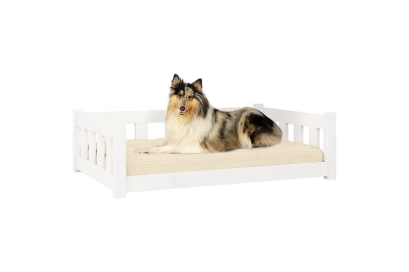 beBasic Hundeseng hvit 95,5 x 65,5 x 28 cm heltre furu - Hvit - Hundekurv & hundeseng - Hundemøbler